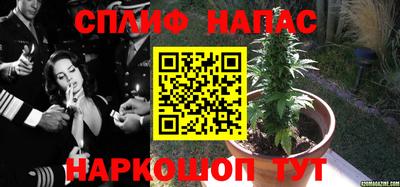 ешки Ливны