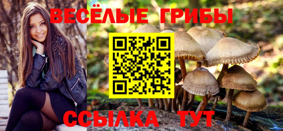Галлюциногенные грибы прущие грибы  Вход с VPN  Ессентуки  Галлюциногенные грибы мицелий 